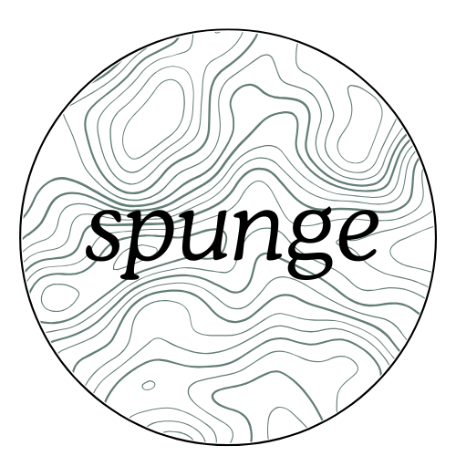 SpungePossible